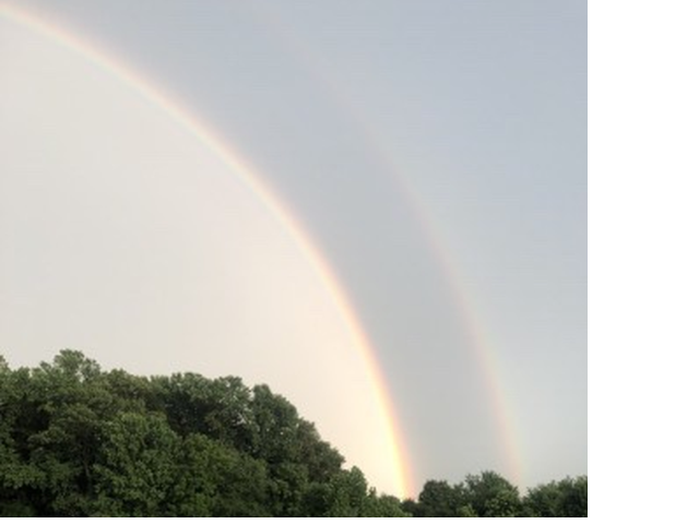 Today we saw a Nice Rainbow after the Storm