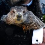 Groundhog Day: 6 more weeks of winter as he sees his shadow 